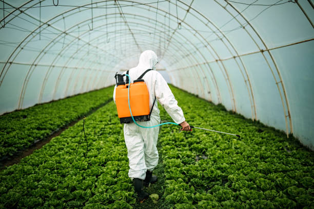 Best Local Pest Control Services  in Norco, CA