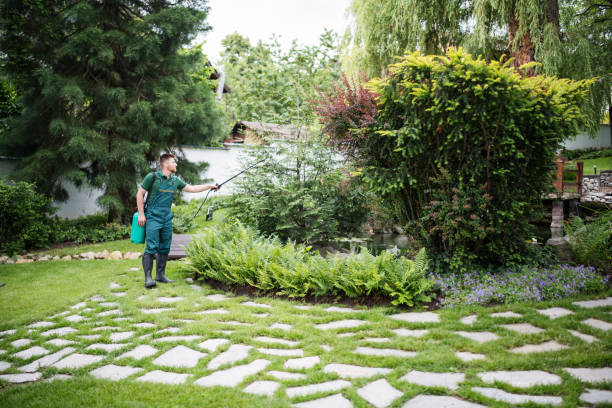 Best Emergency Pest Control  in Norco, CA