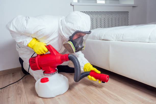 Best Pest Control for Homes  in Norco, CA
