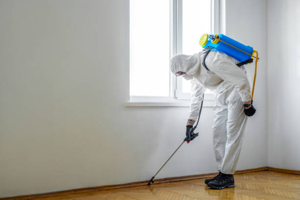 Best Cockroach Control Services  in Norco, CA
