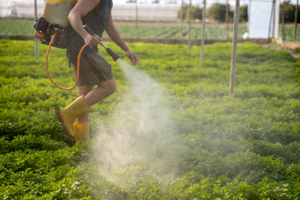 Best Exterminator Services  in Norco, CA