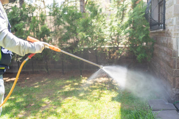 Best Best Pest Control Companies  in Norco, CA